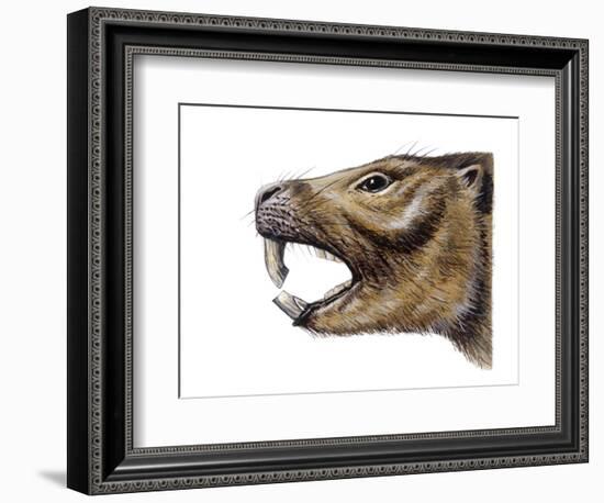 Mesotherium-null-Framed Photographic Print