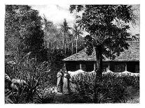 Mosque on Ternate, Indonesia, 19th Century-Mesples-Framed Giclee Print