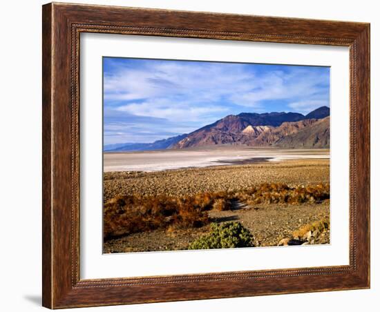 Mesquite and the Black Mountains of the Amaragosa Range, Death Valley National Park, CA-Bernard Friel-Framed Photographic Print