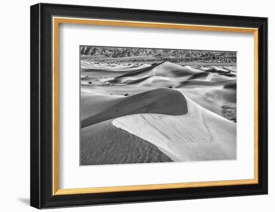 Mesquite Dunes, Death Valley National Park, California.-John Ford-Framed Photographic Print