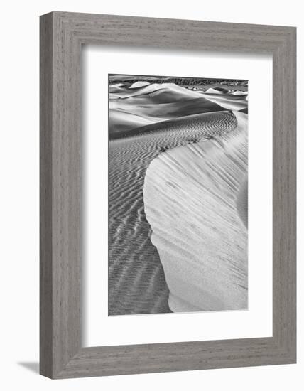 Mesquite Dunes, Death Valley National Park, California.-John Ford-Framed Photographic Print