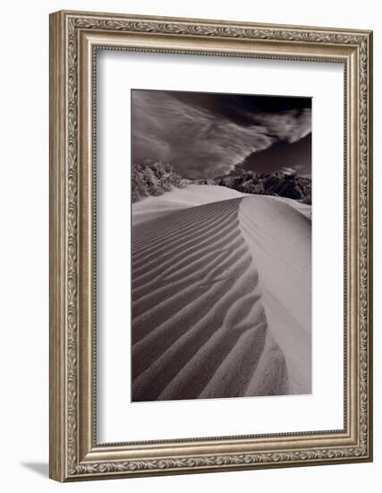 Mesquite Dunes Death Valley-Steve Gadomski-Framed Photographic Print