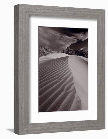 Mesquite Dunes Death Valley-Steve Gadomski-Framed Photographic Print