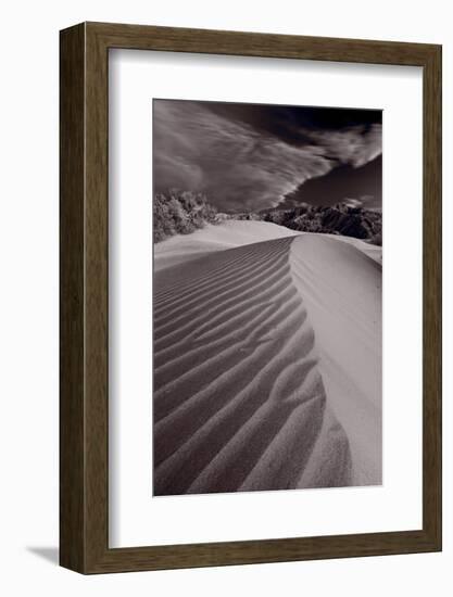 Mesquite Dunes Death Valley-Steve Gadomski-Framed Photographic Print