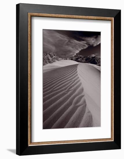 Mesquite Dunes Death Valley-Steve Gadomski-Framed Photographic Print