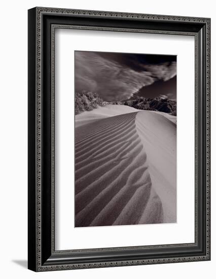 Mesquite Dunes Death Valley-Steve Gadomski-Framed Photographic Print