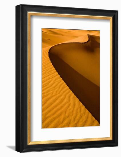 Mesquite Flat Dunes at Death Vakkey National Park-Gleb Tarro-Framed Photographic Print