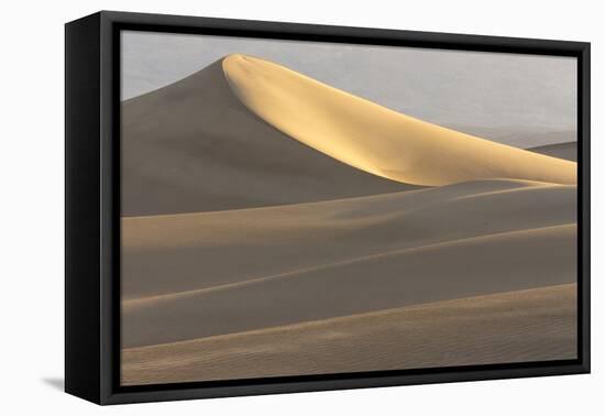 Mesquite Flat Sand Dunes at Dawn, Death Valley, California-Rob Sheppard-Framed Premier Image Canvas