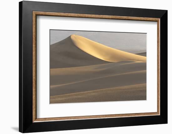 Mesquite Flat Sand Dunes at Dawn, Death Valley, California-Rob Sheppard-Framed Photographic Print