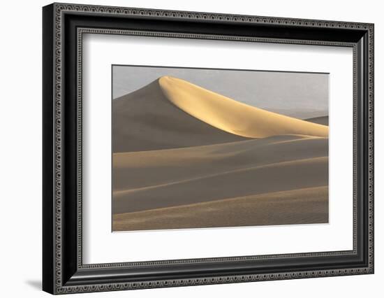 Mesquite Flat Sand Dunes at Dawn, Death Valley, California-Rob Sheppard-Framed Photographic Print