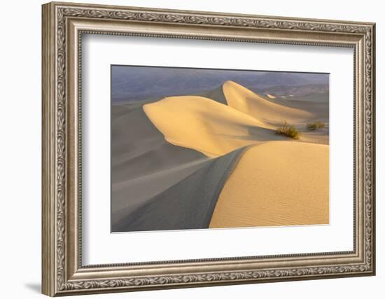 Mesquite Flat Sand Dunes at Dawn, Death Valley, California-Rob Sheppard-Framed Photographic Print