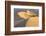 Mesquite Flat Sand Dunes at Dawn, Death Valley, California-Rob Sheppard-Framed Photographic Print