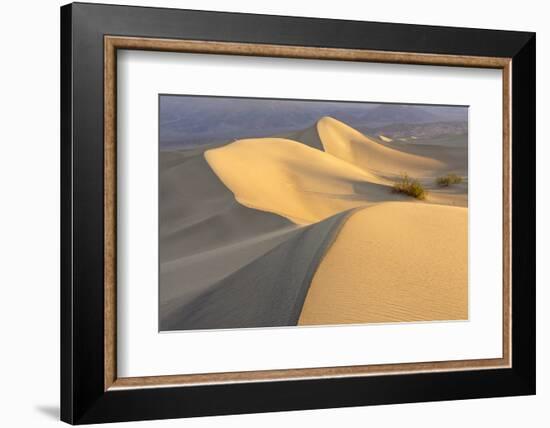 Mesquite Flat Sand Dunes at Dawn, Death Valley, California-Rob Sheppard-Framed Photographic Print