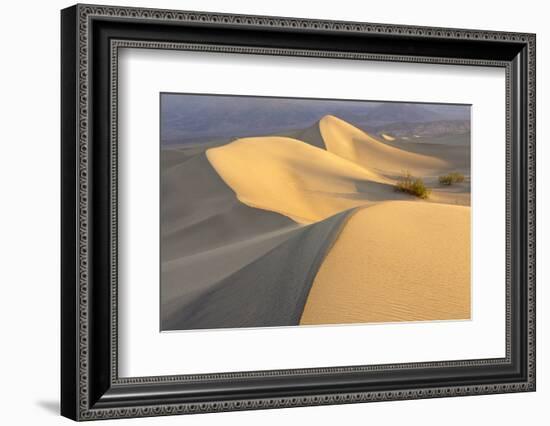 Mesquite Flat Sand Dunes at Dawn, Death Valley, California-Rob Sheppard-Framed Photographic Print