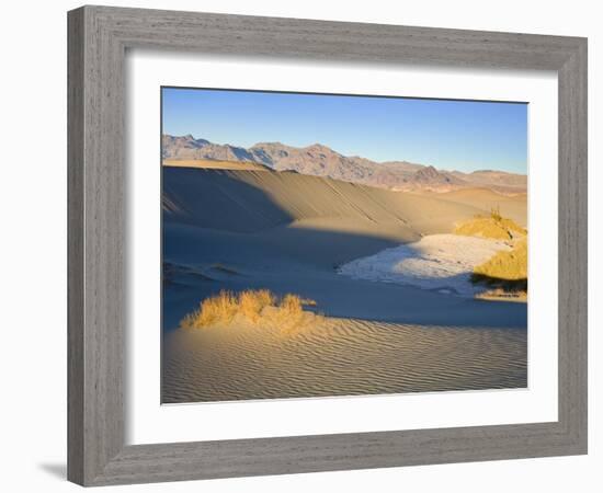 Mesquite Flat Sand Dunes, Death Valley National Park, California, USA, North America-Richard Cummins-Framed Photographic Print