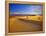 Mesquite Flat Sand Dunes, Death Valley National Park, California, USA-Chuck Haney-Framed Premier Image Canvas