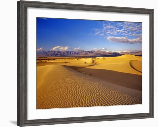 Mesquite Flat Sand Dunes, Death Valley National Park, California, USA-Chuck Haney-Framed Photographic Print