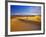 Mesquite Flat Sand Dunes, Death Valley National Park, California, USA-Chuck Haney-Framed Photographic Print