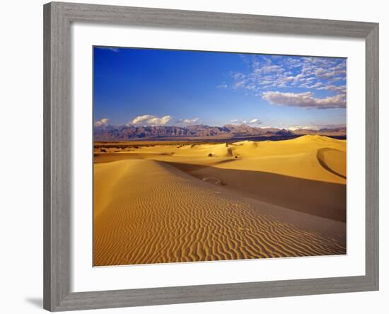 Mesquite Flat Sand Dunes, Death Valley National Park, California, USA-Chuck Haney-Framed Photographic Print