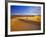 Mesquite Flat Sand Dunes, Death Valley National Park, California, USA-Chuck Haney-Framed Photographic Print