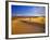 Mesquite Flat Sand Dunes, Death Valley National Park, California, USA-Chuck Haney-Framed Photographic Print