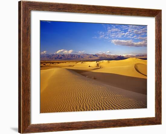 Mesquite Flat Sand Dunes, Death Valley National Park, California, USA-Chuck Haney-Framed Photographic Print