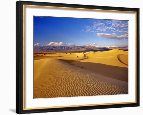 Mesquite Flat Sand Dunes, Death Valley National Park, California, USA-Chuck Haney-Framed Photographic Print