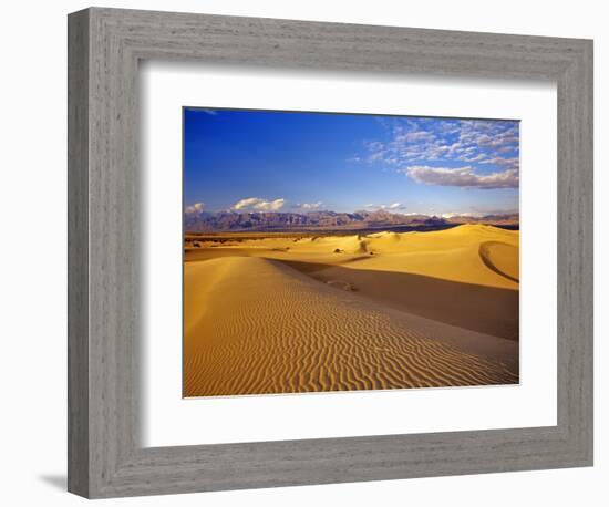 Mesquite Flat Sand Dunes, Death Valley National Park, California, USA-Chuck Haney-Framed Photographic Print