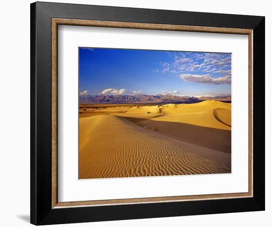 Mesquite Flat Sand Dunes, Death Valley National Park, California, USA-Chuck Haney-Framed Photographic Print