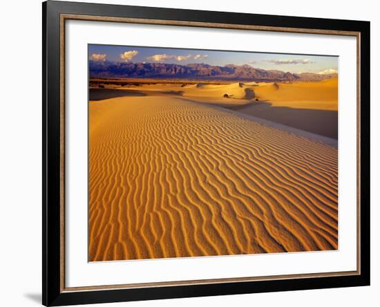 Mesquite Flat Sand Dunes in Death Valley National Park in California, USA-Chuck Haney-Framed Photographic Print