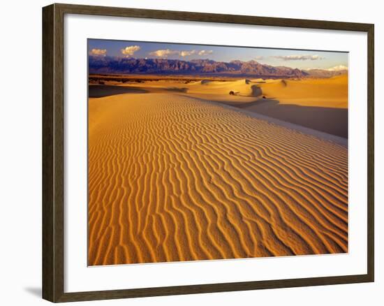 Mesquite Flat Sand Dunes in Death Valley National Park in California, USA-Chuck Haney-Framed Photographic Print