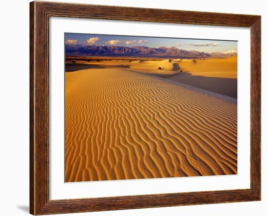 Mesquite Flat Sand Dunes in Death Valley National Park in California, USA-Chuck Haney-Framed Photographic Print