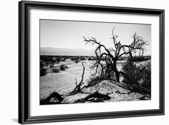 Mesquite Flat Sans Dunes - Stovepipe wells village - Death Valley National Park - California - USA -Philippe Hugonnard-Framed Photographic Print