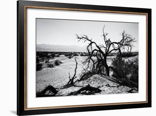 Mesquite Flat Sans Dunes - Stovepipe wells village - Death Valley National Park - California - USA -Philippe Hugonnard-Framed Photographic Print