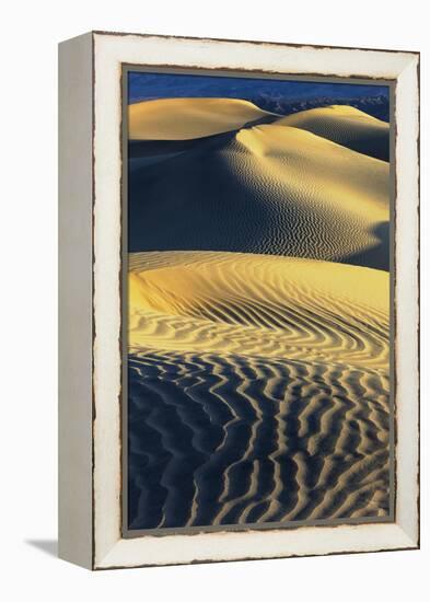 Mesquite Sand Dunes. Death Valley. California.-Tom Norring-Framed Premier Image Canvas