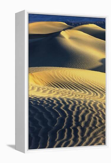 Mesquite Sand Dunes. Death Valley. California.-Tom Norring-Framed Premier Image Canvas