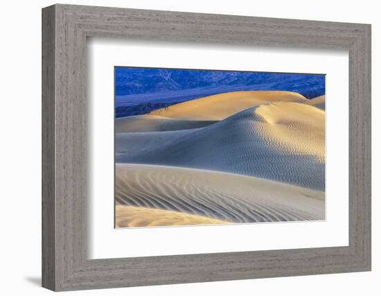 Mesquite Sand Dunes. Death Valley, California.-Tom Norring-Framed Photographic Print