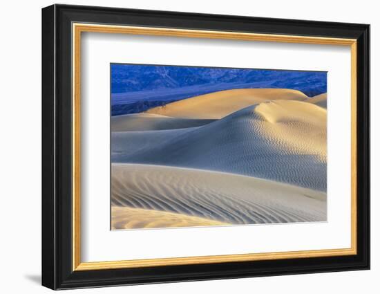 Mesquite Sand Dunes. Death Valley, California.-Tom Norring-Framed Photographic Print