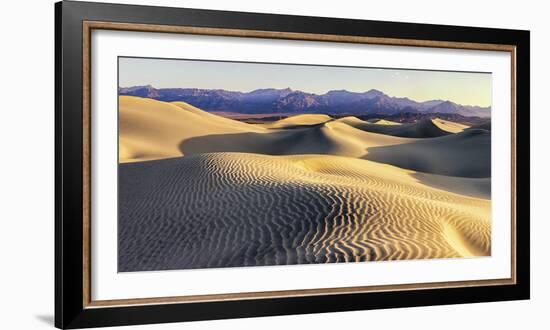 Mesquite Sand Dunes. Death Valley. California.-Tom Norring-Framed Photographic Print