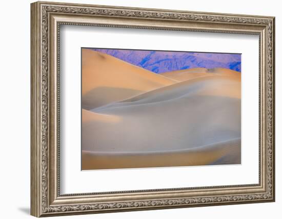 Mesquite Sand Dunes. Death Valley, California.-Tom Norring-Framed Photographic Print