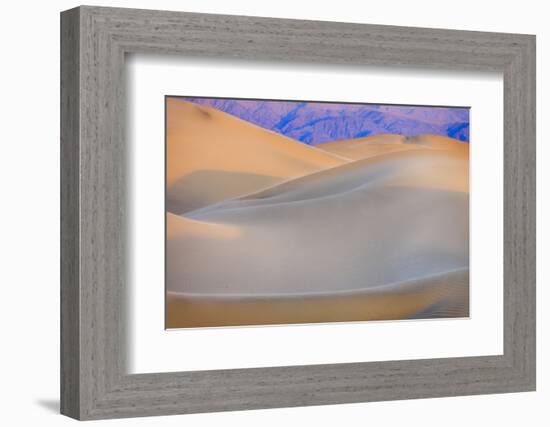 Mesquite Sand Dunes. Death Valley, California.-Tom Norring-Framed Photographic Print