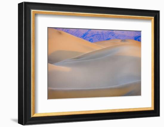 Mesquite Sand Dunes. Death Valley, California.-Tom Norring-Framed Photographic Print