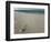 Message in a Bottle on a Tropical Beach, Kuramathi Island, Ari Atoll, Maldives, Indian Ocean, Asia-Angelo Cavalli-Framed Photographic Print