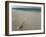 Message in a Bottle on a Tropical Beach, Kuramathi Island, Ari Atoll, Maldives, Indian Ocean, Asia-Angelo Cavalli-Framed Photographic Print