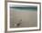 Message in a Bottle on a Tropical Beach, Kuramathi Island, Ari Atoll, Maldives, Indian Ocean, Asia-Angelo Cavalli-Framed Photographic Print