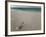 Message in a Bottle on a Tropical Beach, Kuramathi Island, Ari Atoll, Maldives, Indian Ocean, Asia-Angelo Cavalli-Framed Photographic Print