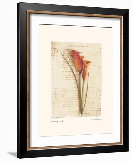 Messages II-Amy Melious-Framed Art Print