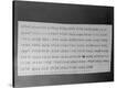 Stretched Canvas Print