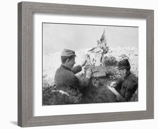 Messenger Pigeons Being Released at the Front Line, World War I, 1915-null-Framed Giclee Print