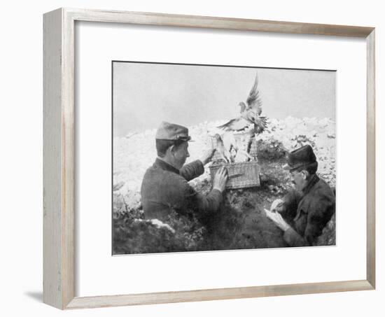 Messenger Pigeons Being Released at the Front Line, World War I, 1915-null-Framed Giclee Print